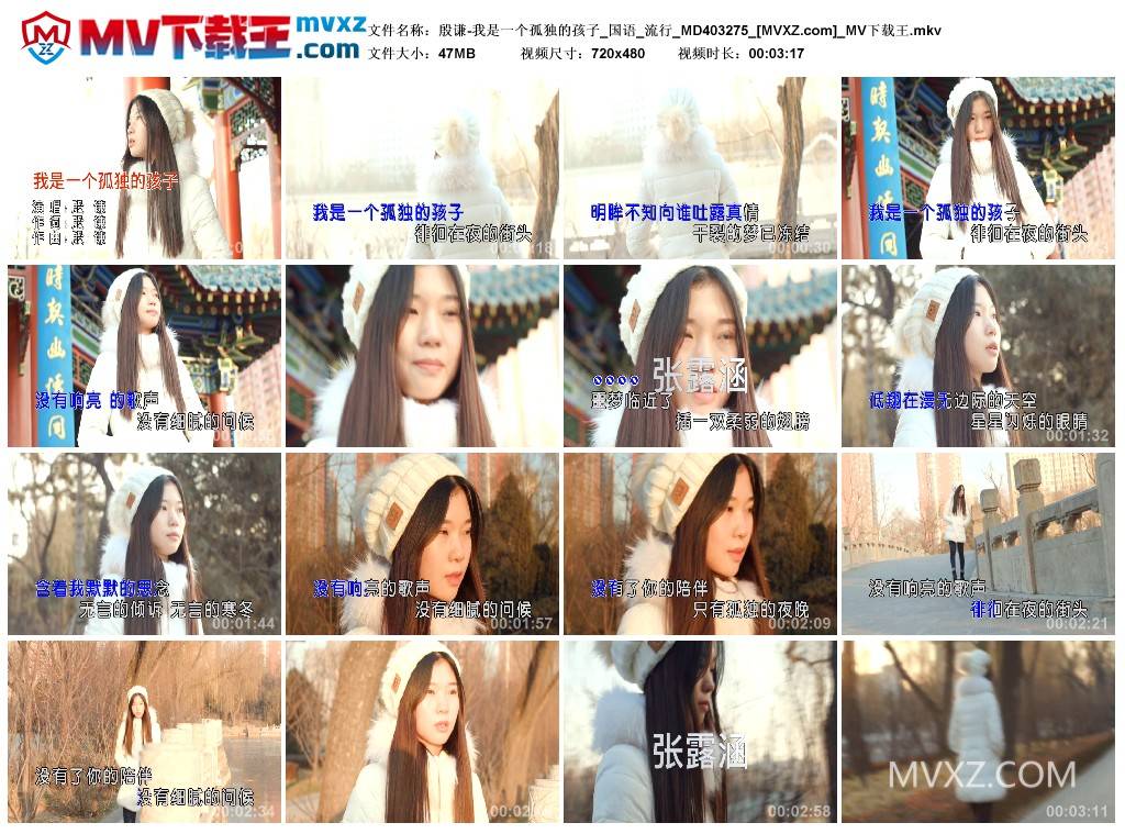 殷谦-我是一个孤独的孩子_国语_流行_MD403275